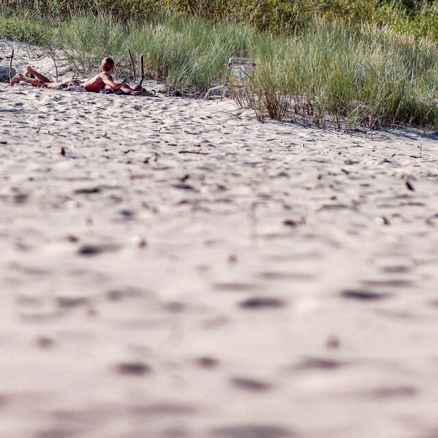 Szukając muszelek na dzikiej plaży