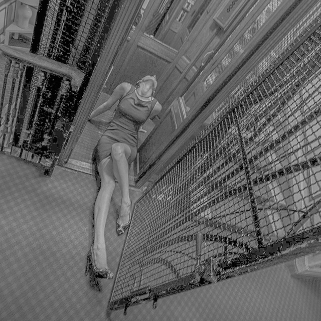 /images/groupphotos/16/186/thumb_8c5469a1f07eb36621f0125e.jpg