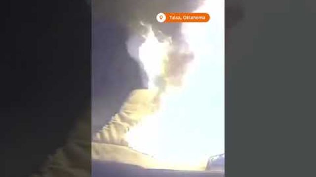 Dog sets house on fire after chewing on battery pack