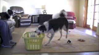 Clean up your toys
