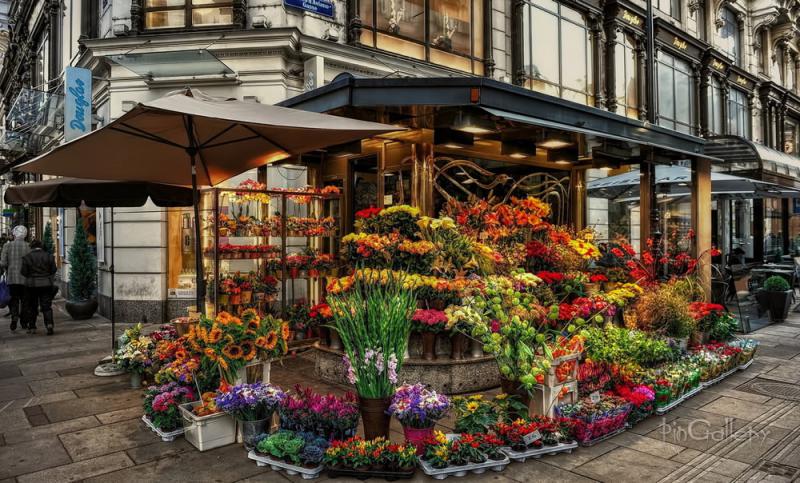 Flower Shop Flower Shop