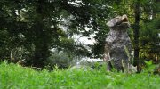 Dog monument
