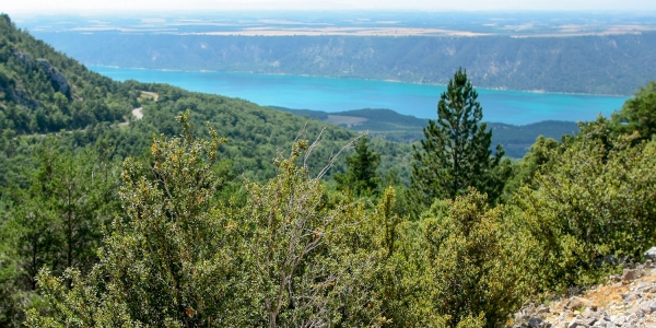 Wykonaj 9 prac Asterixa